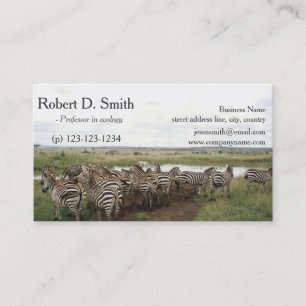 Carte De Visite zèbre animal sauvage africain science professionne