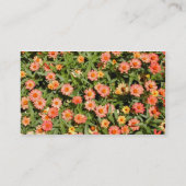 Carte de visite Zinnia (Dos)