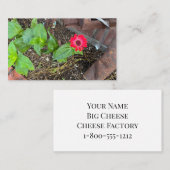 Carte de visite Zinnia rouge avec objets rouillés (Devant / Derrière)