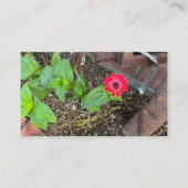 Carte de visite Zinnia rouge avec objets rouillés (Devant)