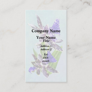 Carte De Visite Zygo Advance Australie HOF