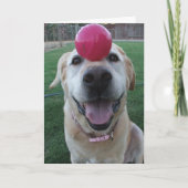 Carte de voeux (Devant)