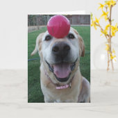 Carte de voeux (Fleur jaune)