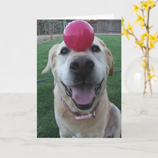 Carte de voeux (Fleur jaune)