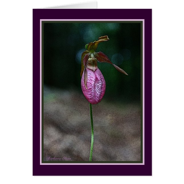 Carte de voeux : (Devant)