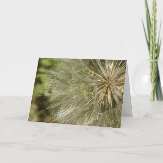 Carte de voeux (Devant)