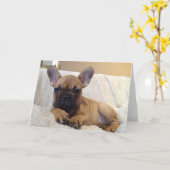 Carte de voeux (Fleur jaune)