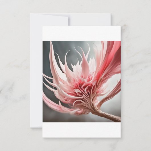 Carte de voeux (Devant)