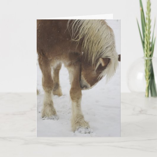 Carte de voeux (Devant)