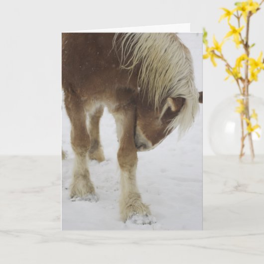 Carte de voeux (Fleur jaune)