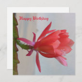 Carte de voeux (Devant / Derrière)