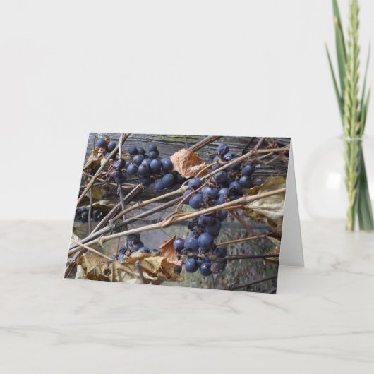 carte de voeux (Devant)