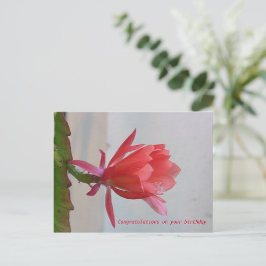 Carte de voeux (Debout devant)