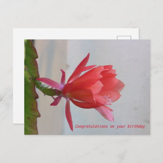 Carte de voeux (Devant / Derrière)