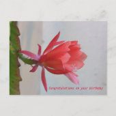 Carte de voeux (Devant)