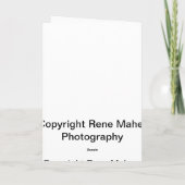 Carte de voeux (Dos)