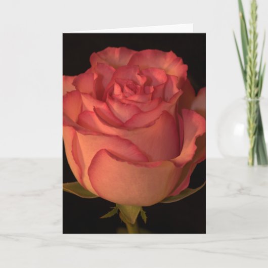 Carte de voeux (Devant)