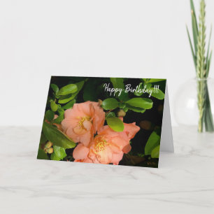 Carte de voeux 1-18 pour le coing de fleurs