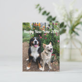 Carte de vœux 2019 de Hanayuki (Debout devant)