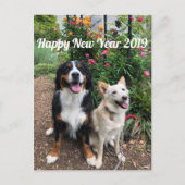 Carte de vœux 2019 de Hanayuki (Devant)