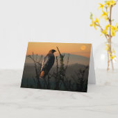 Carte de voeux 5x7 à queue rouge Hawk (Fleur jaune)