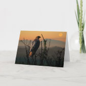 Carte de voeux 5x7 à queue rouge Hawk (Devant)