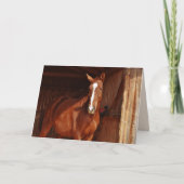 carte de voeux à cheval grange (Devant)