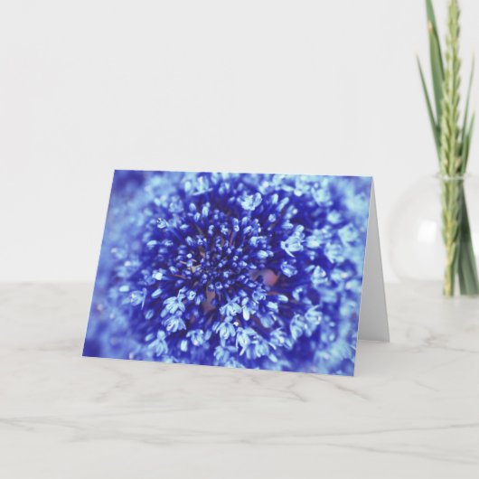 Carte de voeux à fleurs bleues (Devant)
