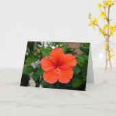 Carte de voeux à fleurs rouges (Fleur jaune)