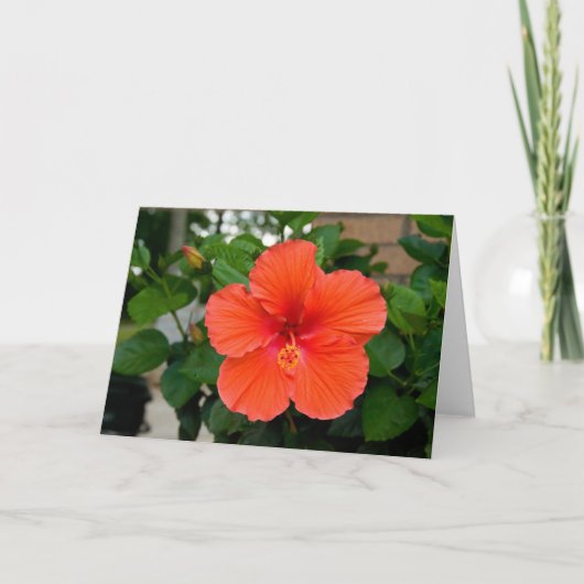 Carte de voeux à fleurs rouges (Devant)