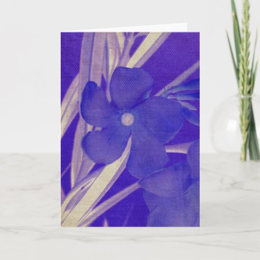 Carte de voeux à fleurs violettes (Devant)