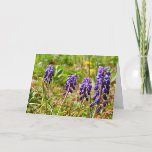 Carte de voeux à fleurs violettes (Devant)