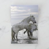 Carte de voeux à l'eau à Dawn Horse (Intérieur)