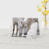 Carte de voeux à l'eau à Dawn Horse (Fleur jaune)