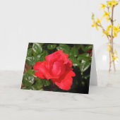 Carte de voeux à rose simple rouge (Fleur jaune)
