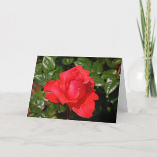 Carte de voeux à rose simple rouge