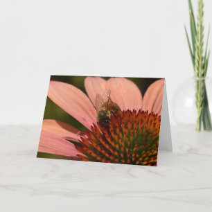 Carte de vœux Abeille sur Echinacea