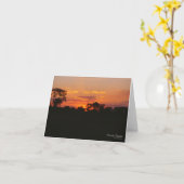 Carte de voeux Acacia Sunset (Fleur jaune)