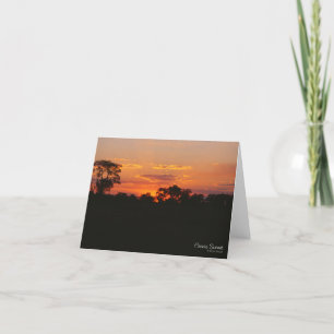 Carte de voeux Acacia Sunset