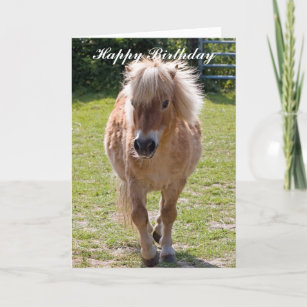 Cartes Poney D Anniversaire Zazzle Be