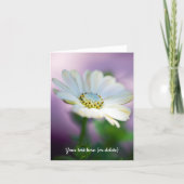 Carte de vœux African Daisy (Devant)