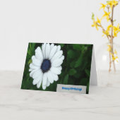 Carte de voeux African Daisy (Fleur jaune)