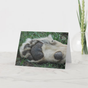 Carte de voeux "African Lion Paw"