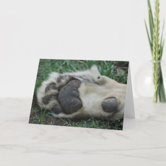 Carte de voeux "African Lion Paw"