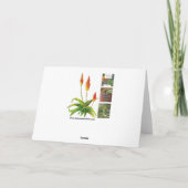 Carte de voeux agave Succulente aquarelle (Dos)