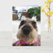 Carte de voeux aléatoire de bonjour (Fleur jaune)