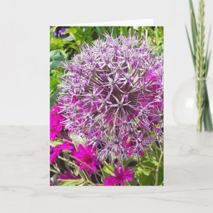 Carte de voeux Allium & Fleurs d'été