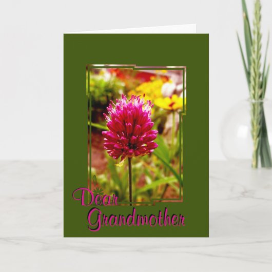 Carte de voeux Allium rose 002 (Devant)
