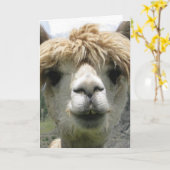CARTE DE VŒUX ALPACA BLANC (Fleur jaune)