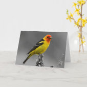 Carte de voeux américaine d'oiseau chanteur (Fleur jaune)